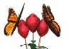 free animal clipart downloads # 29