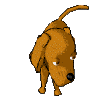 free animal clipart downloads # 58