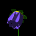 Plants animated clip art # 1